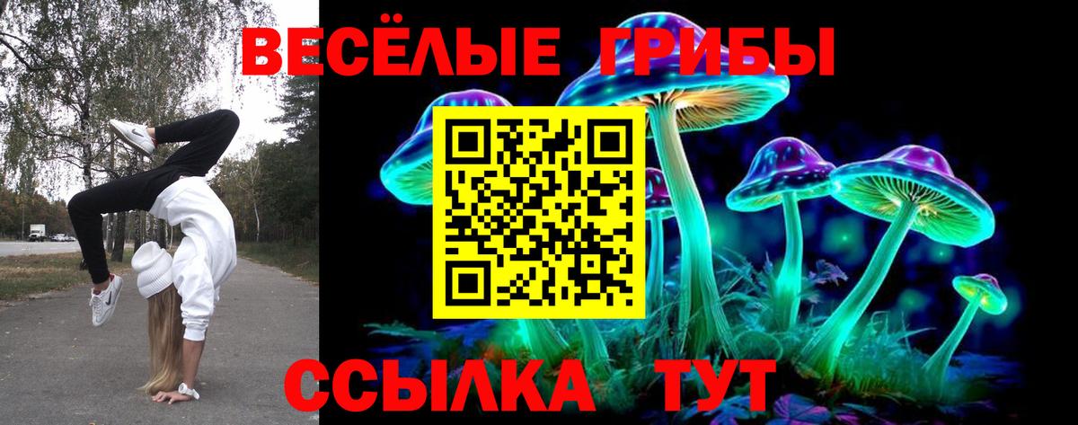 Псилоцибиновые грибы прущие грибы  Вход с VPN  Миасс  Псилоцибиновые грибы MAGIC MUSHROOMS 